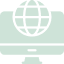 Teal icon of a globe representing a website