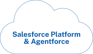 Blue outlined cloud graphic with the text Salesforce Platform and Agentforce